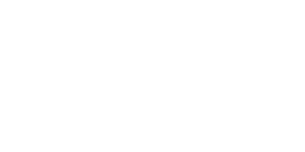 24º Congresso Núcleo de Estudos da Doença Vascular Cerebral